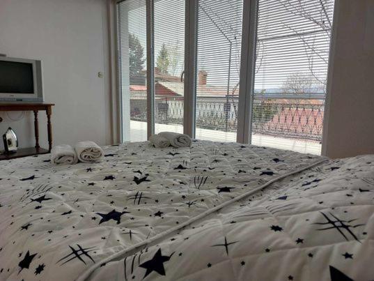 Vila Visni Łagadin Zewnętrze zdjęcie