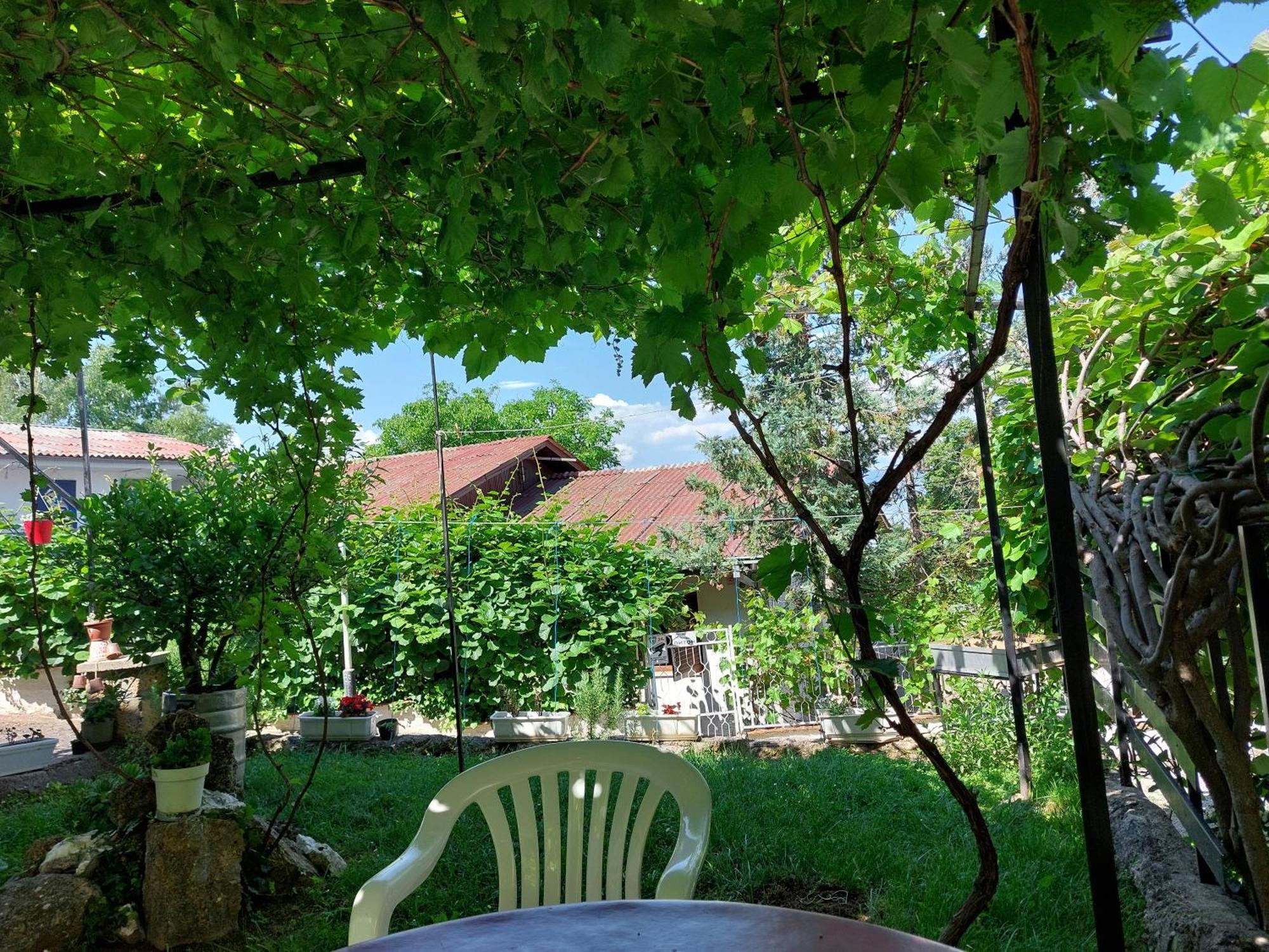 Vila Visni Łagadin Pokój zdjęcie